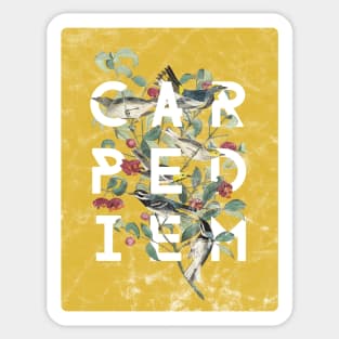 Carpe Diem - Modern Typography with Vintage Birds in Yolk Yellow Sticker